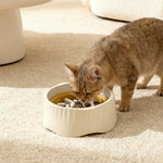 Cat eating from the slow feeder bowl